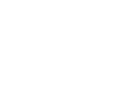 partner-white-lenovo